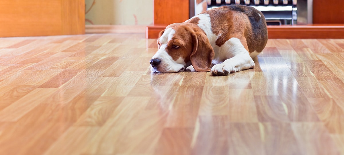 Hardwood floor