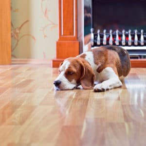 Hardwood floor cleaning