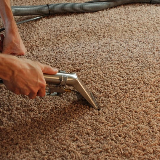 How to Clean Mold in Tile Grout - JDog Carpet Cleaning & Floor Care