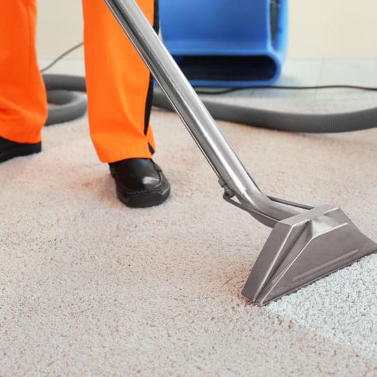 DIY Versus Professional Carpet Cleaning