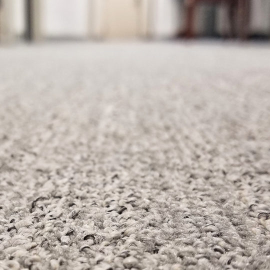 Should You Hire a Carpet Cleaning Company?