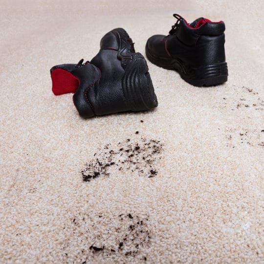 What to Do about Mud on Carpeting