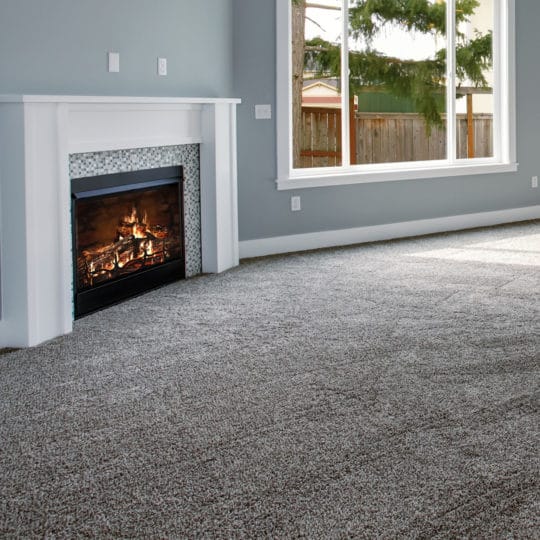 How Often Should You Get Your Carpet Professionally Cleaned?