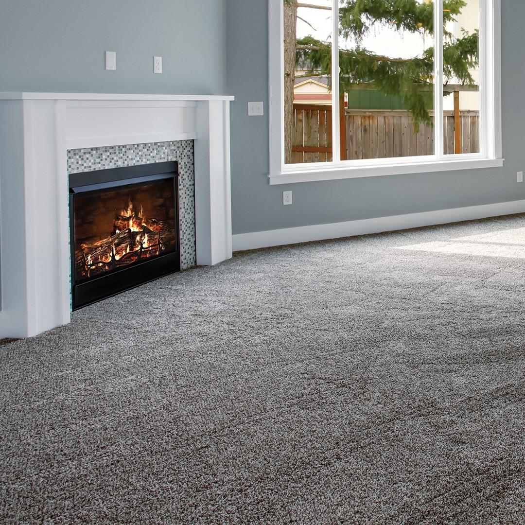 How Often Should You Get Your Carpet Professionally Cleaned? JDog