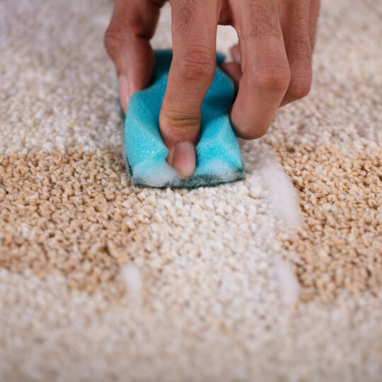 How to Clean Coffee Stains on Carpet