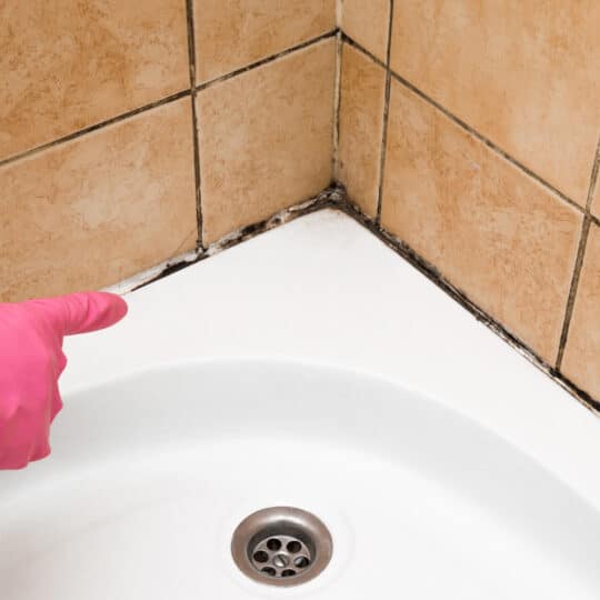 clean mold in tile grout