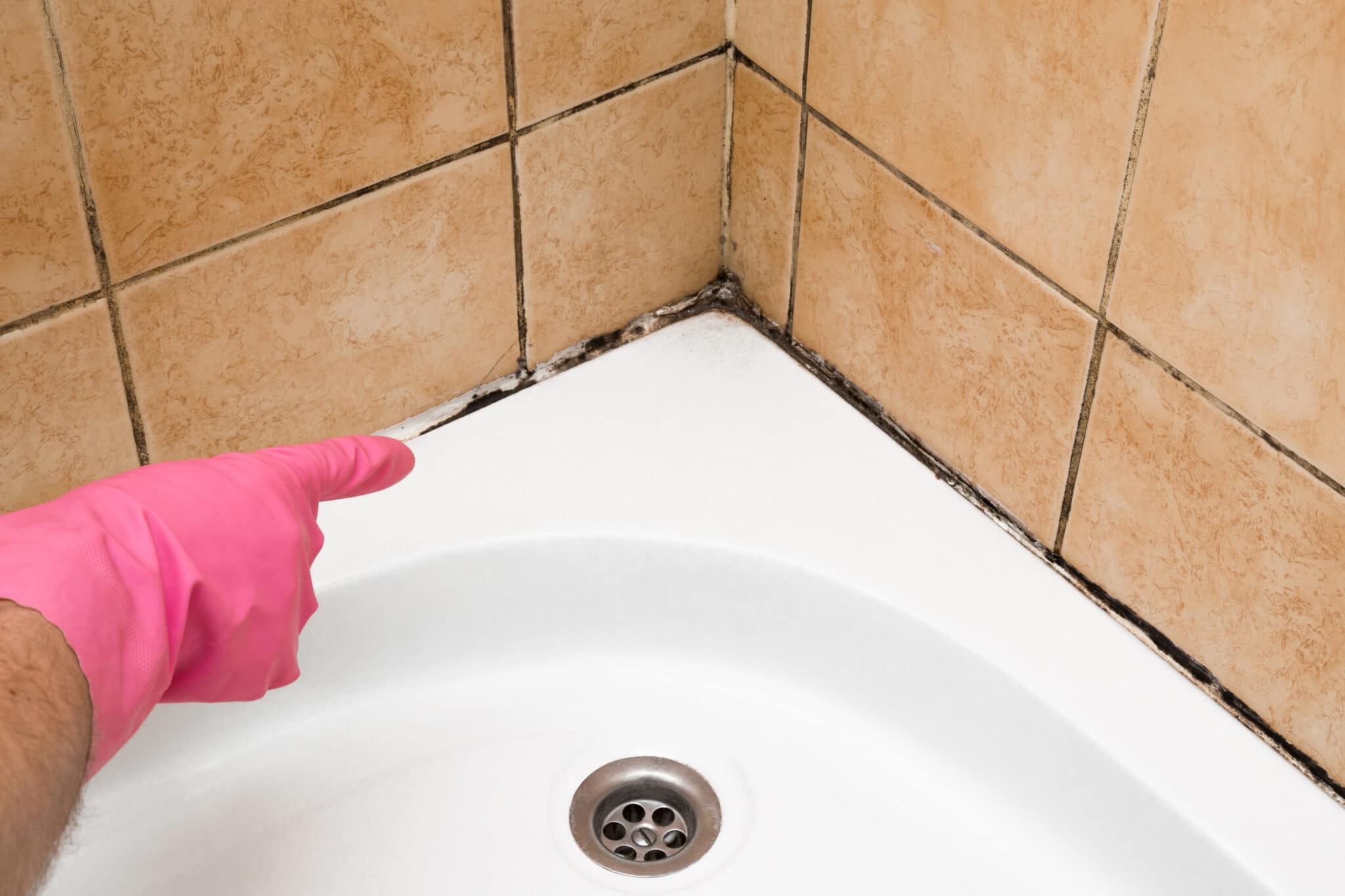 Black Mold In The Shower: How to Clean it