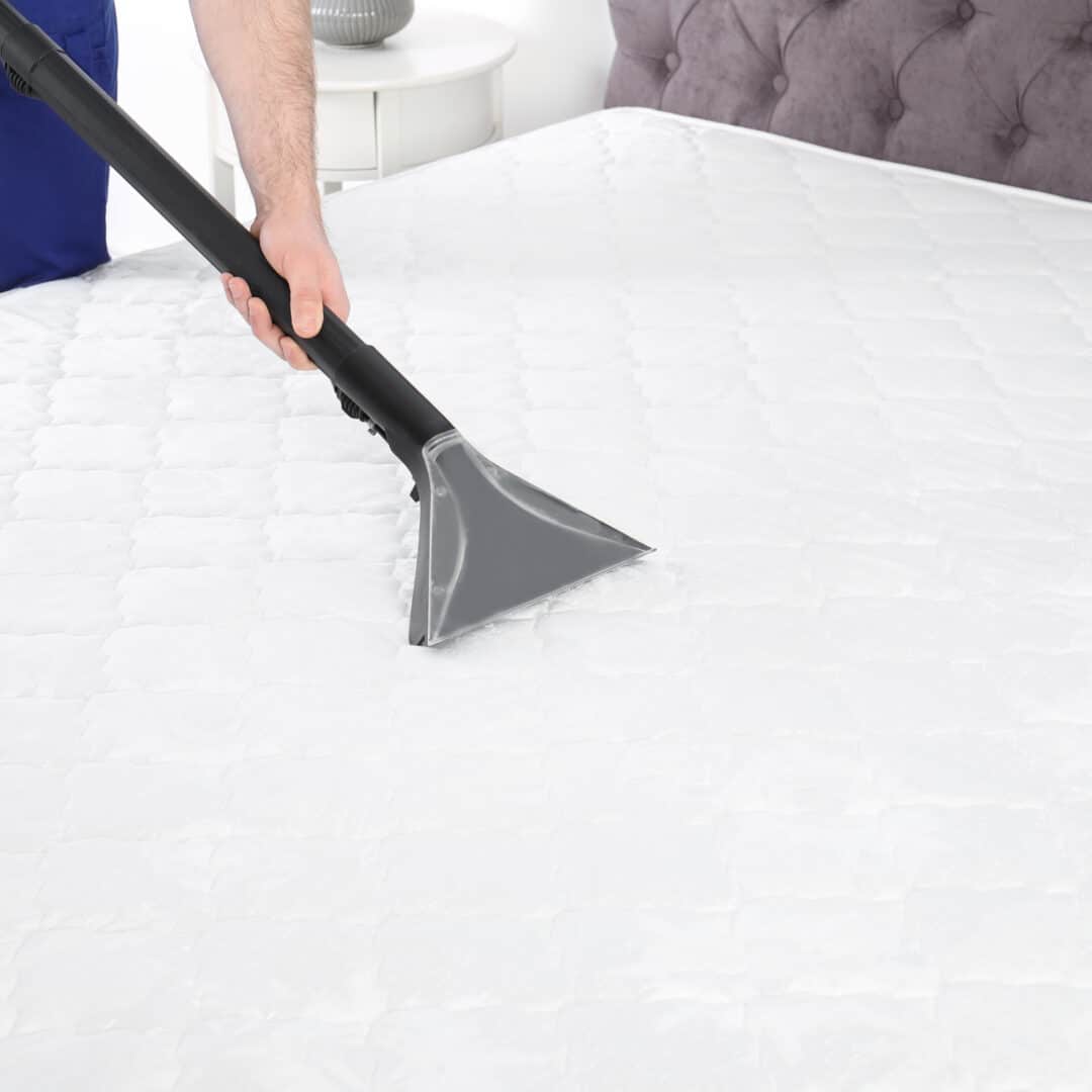 How to Clean Your Mattress JDog Carpet Cleaning & Floor Care
