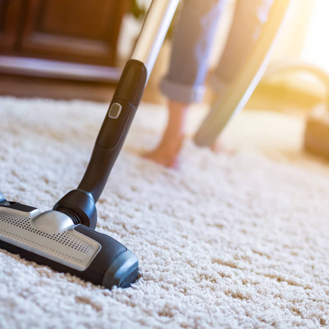Reasons to Deep Clean Your Carpet JDog Carpet Cleaning & Floor Care