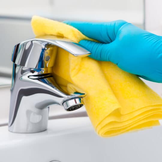 Time-Saving Bathroom Cleaning Tips